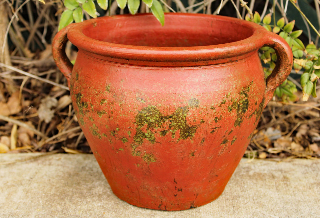 Egyptian Era Designed Earthen Ware Terra-Cotta Vessel/Planter with Looped Handles. 3 colors available