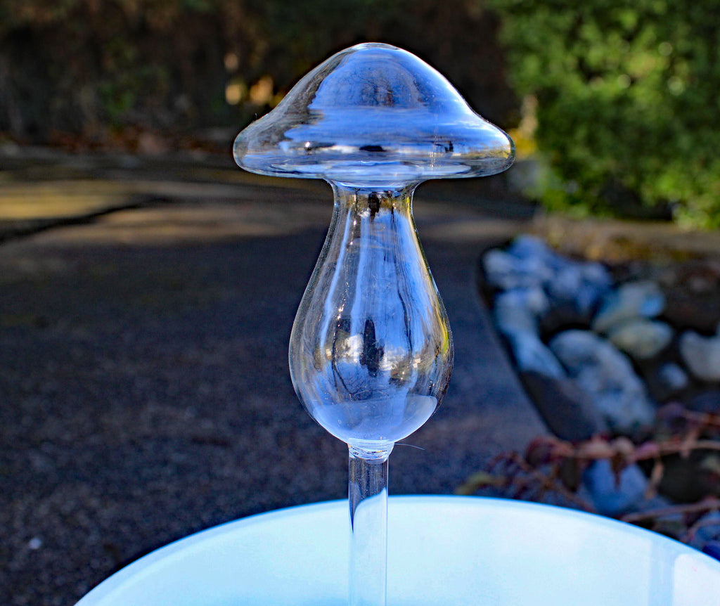 Set of 4 Small Hand Blown Clear Glass Self Watering Aqua Globes in Different Shapes of Mushroom, Bird, Snail and Watering Can