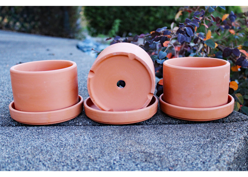 Natural Terracotta Round Fat Walled Garden Planters with Individual Trays.