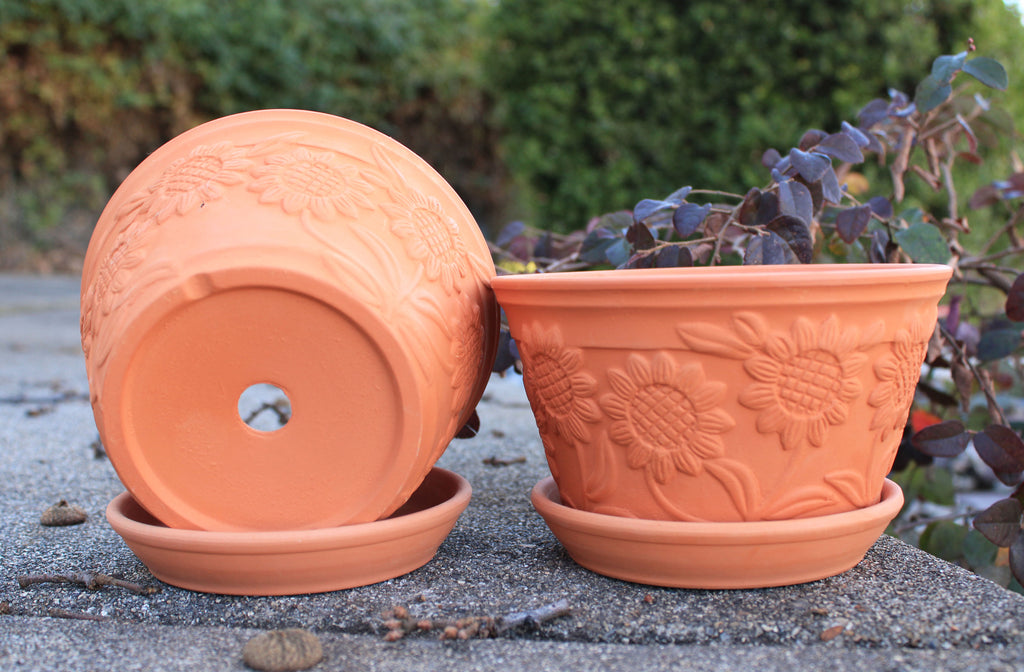 Raised Sunflower Embellished Natural Terra Cotta Garden Pots with Trays