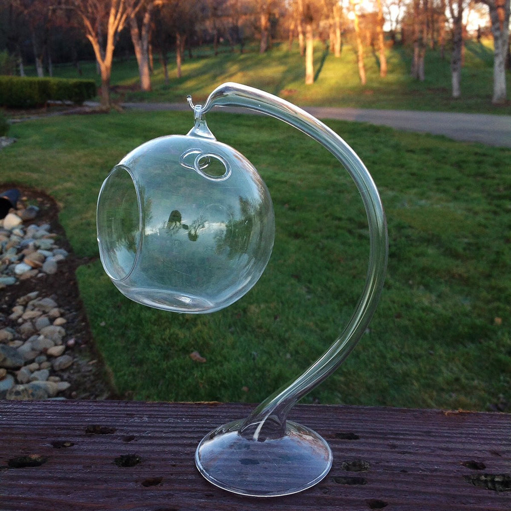 Hanging Round Clear Glass Sphere for Small Succulents with Glass Stand