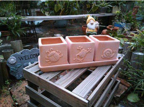 Terracotta Set of 3 Small Square Planters or Herb Square Pots with Tray