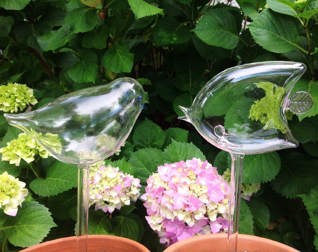 self watering plant glass birds Set of 2 Hand Blown Glass Self Watering Globes Angel Fish and Bird Spikes