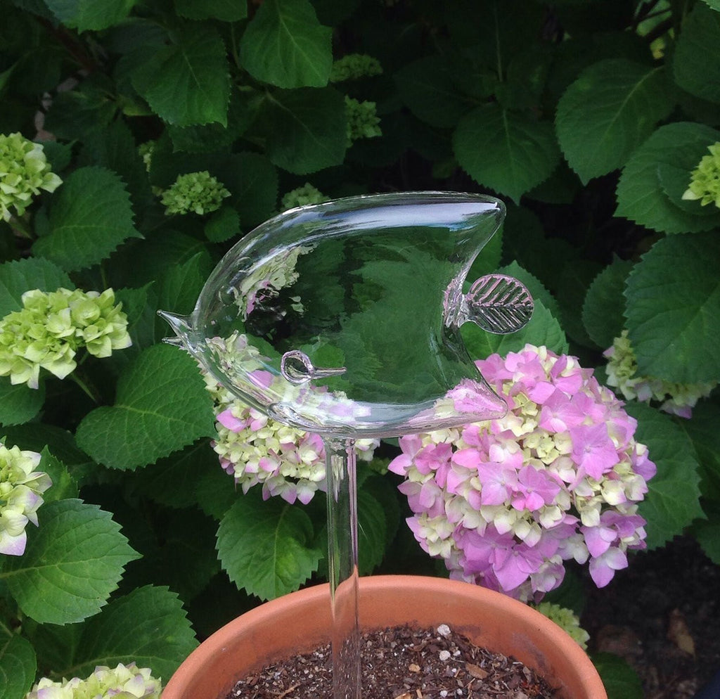 plant self watering globe set Set of 2 Hand Blown Glass Self Watering Globes Angel Fish and Bird Spikes