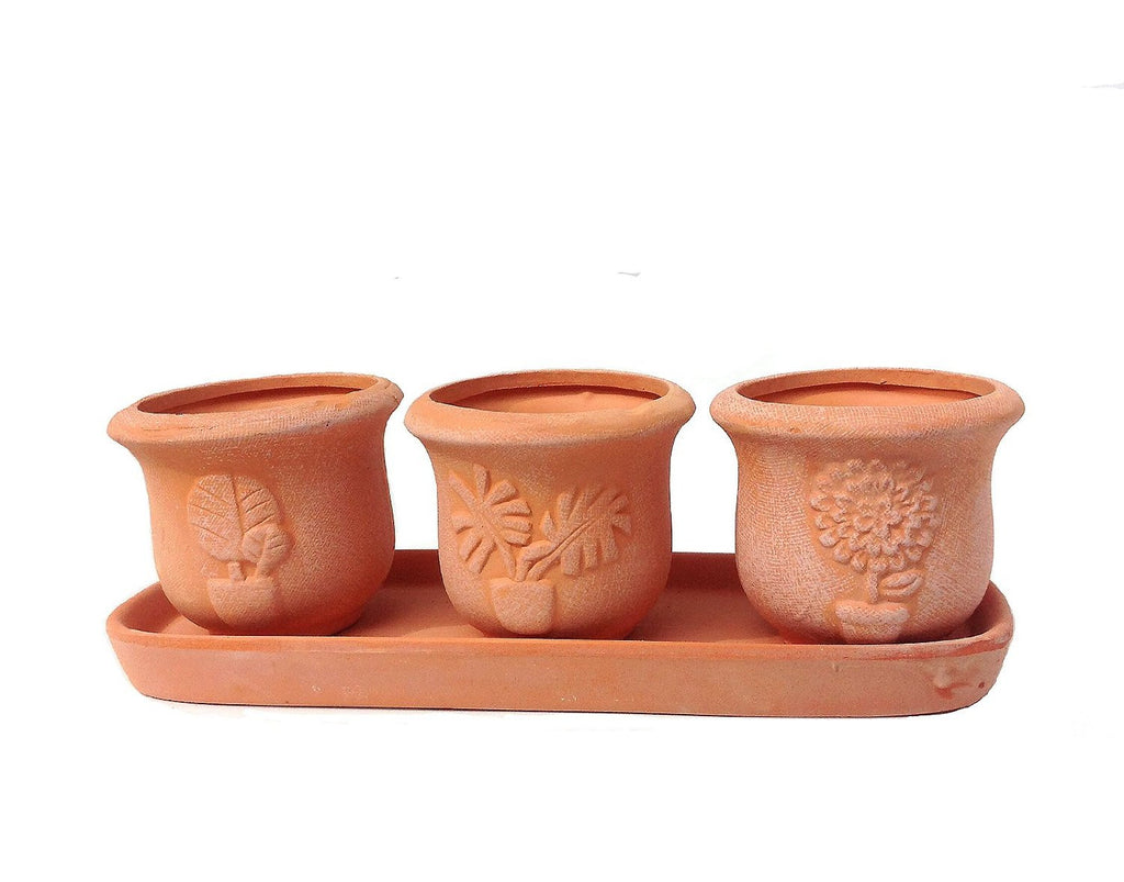 Terra Cotta Clay Set of 3 Small U Shape Embossed Earthenware Planters or Herb Pots and Tray