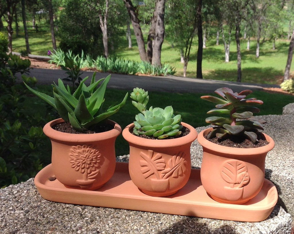 Terra Cotta Clay Set of 3 Small U Shape Embossed Earthenware Planters or Herb Pots and Tray