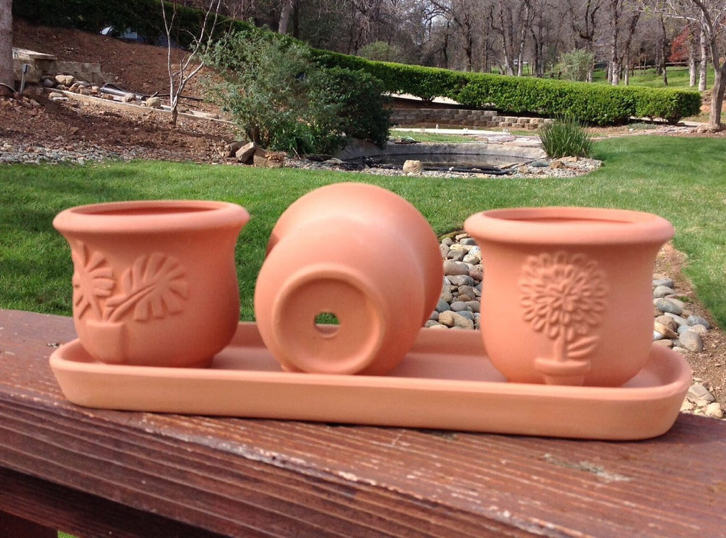 Terra Cotta Clay Set of 3 Small U Shape Embossed Earthenware Planters or Herb Pots and Tray