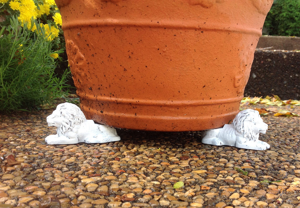 plant pot feet Animated Poly Resin Lion Shaped Pot Feet/Planter Risers 2 sizes availa – goodmanandwife
