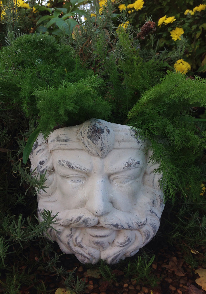 Vintage Greek God Head Wall Hung Planter in Old World White Finish