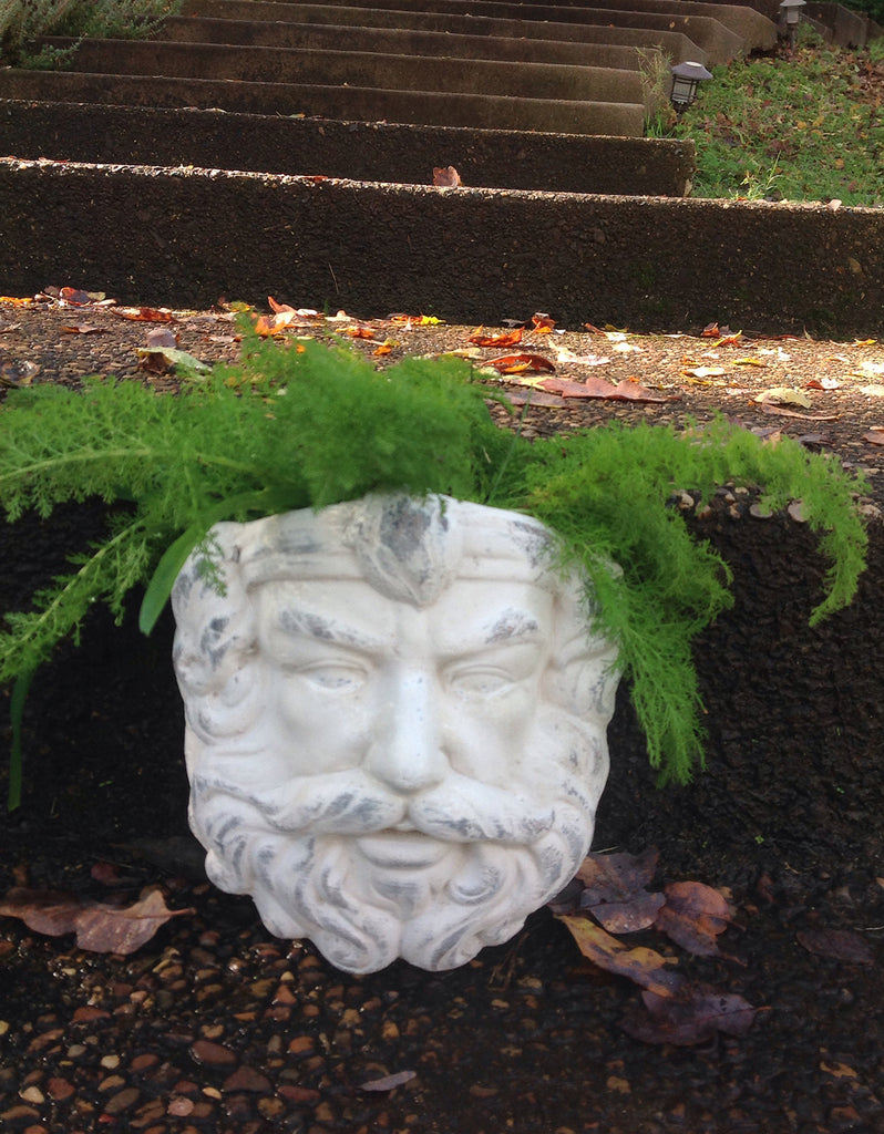 Vintage Greek God Head Wall Hung Planter in Old World White Finish