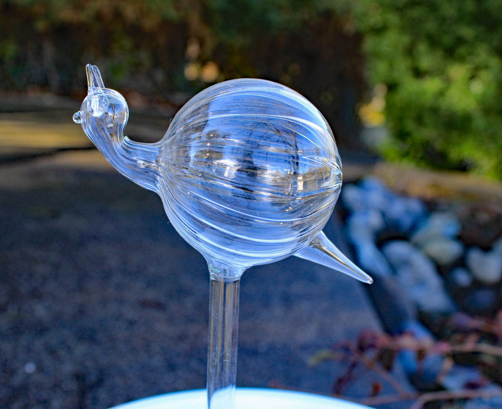 blumat glass plant self watering globes Set of 4 Small Hand Blown Clear Glass Self Watering Aqua Globes in Dif – goodmanandwife