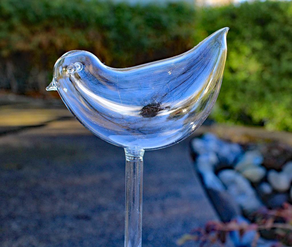 blumat glass plant self watering globes Set of 4 Small Hand Blown Clear Glass Self Watering Aqua Globes in Dif – goodmanandwife