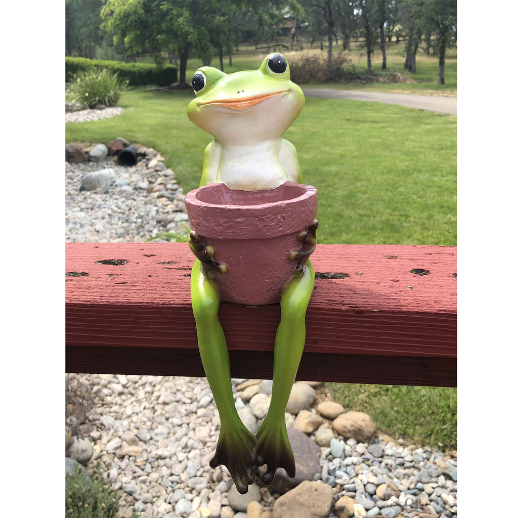 Cute Resin Sitting Frog Holding a Garden Pot for Indoor and Outdoor use