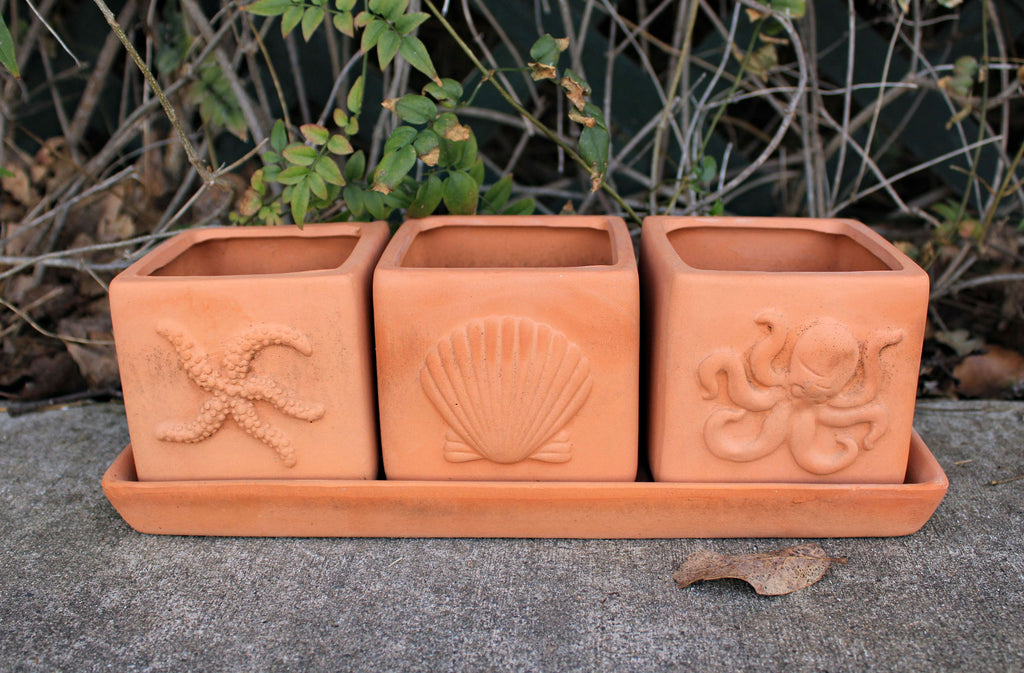 Terracotta Clay Set of 3 Small Square Seascape Embossed Herb Square Pots with Tray