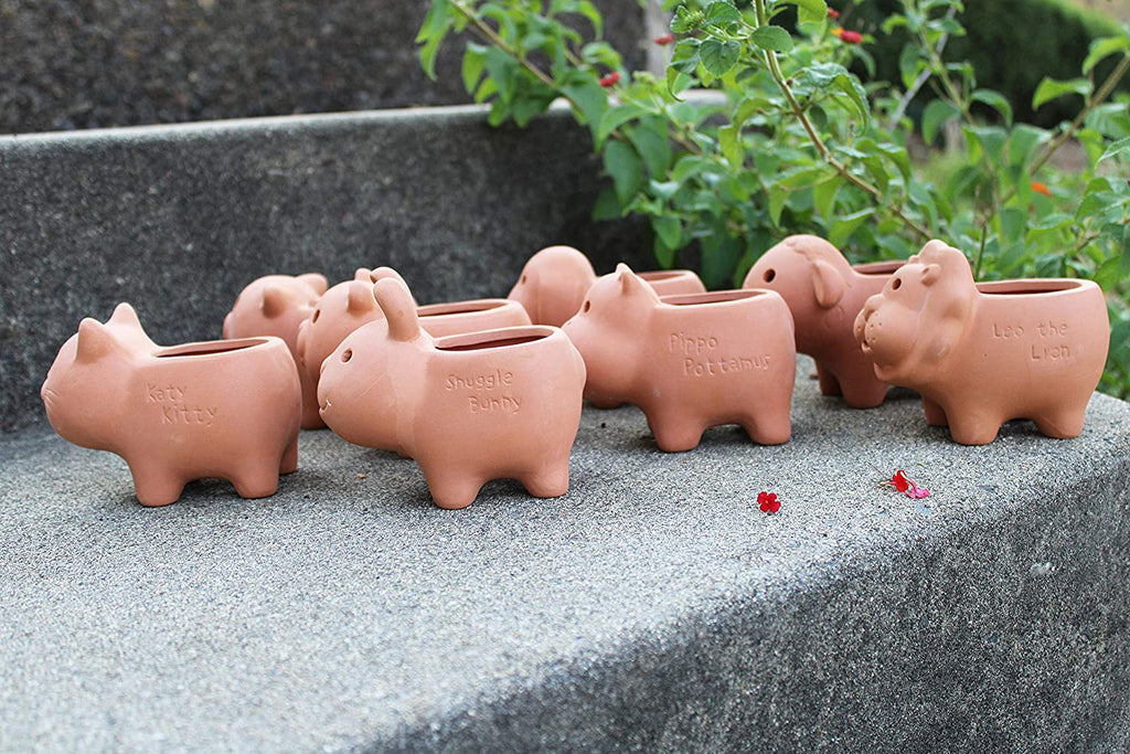 Set of 8 Adorable Terracotta Mini Animal Shaped pots . 8 Creatures Available.