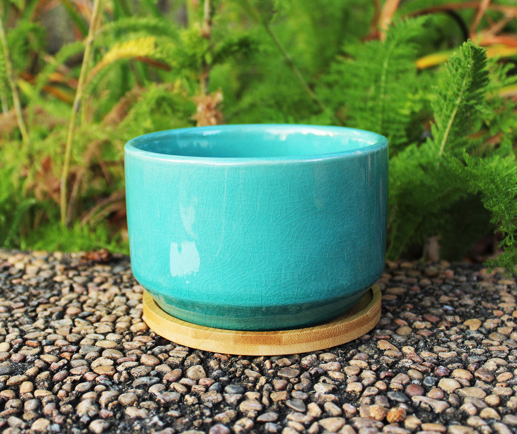 New Set of 4 Multi Colored Ceramic Garden Pots with Individual Trays for Indoor or Outdoor use
