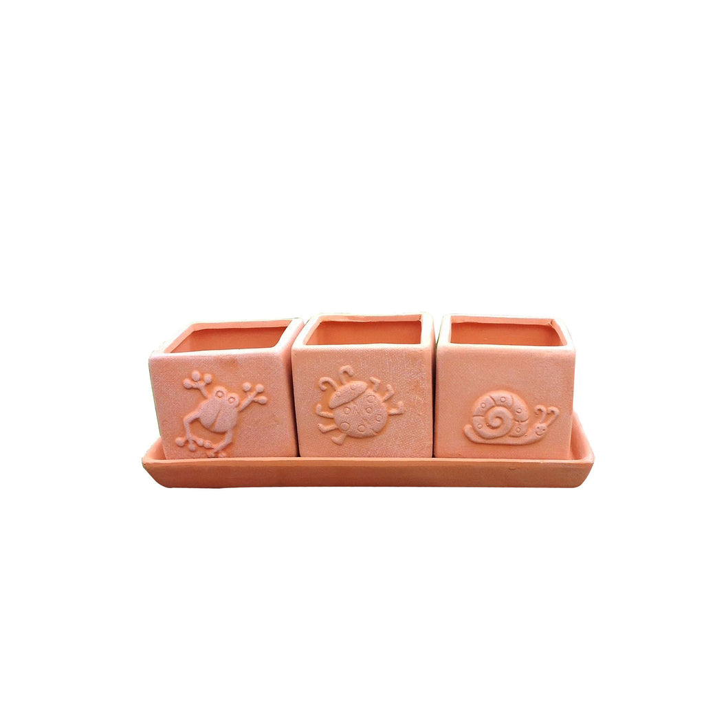 Terracotta Set of 3 Small Square Planters or Herb Square Pots with Tray