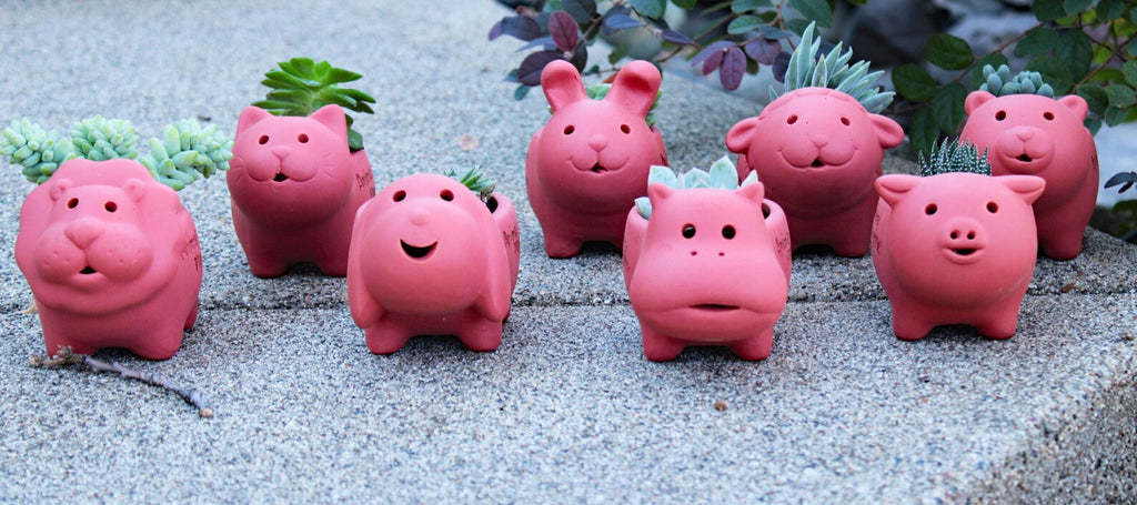 Adorable Reddish Sunburned Terra cotta Mini Animal Shaped Pots with Live Succulents . GREAT GIFT IDEA!