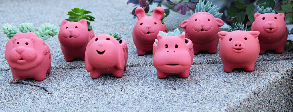 Adorable Reddish Sunburned Terra cotta Mini Animal Shaped Pots with Live Succulents . GREAT GIFT IDEA!