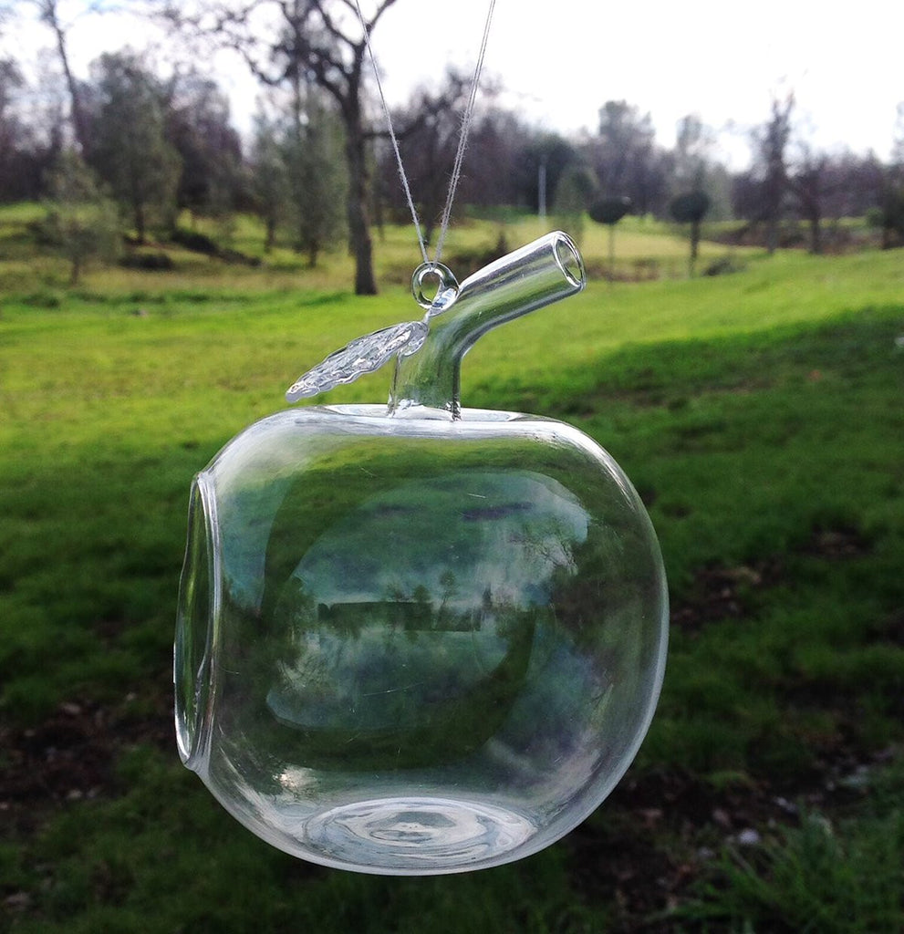 Apple Shaped Clear Glass Planter for Small Succulents, Air Plants or Rock Garden