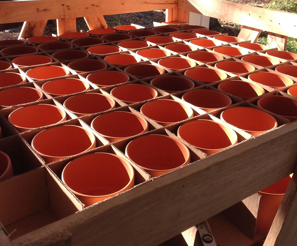 Bulk buy, Natural terracotta color fat walled classic round pots and trays.