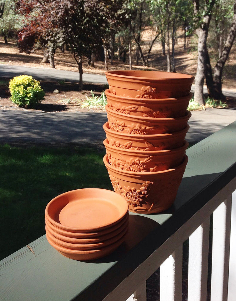 bulk pot plants Bulk buy, Raised Sunflower Embellished Natural Terra Cotta Garden Pot with Tray。