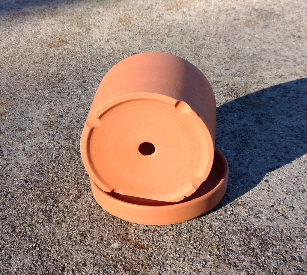 Bulk buy, Natural terracotta color fat walled classic round pots and trays.