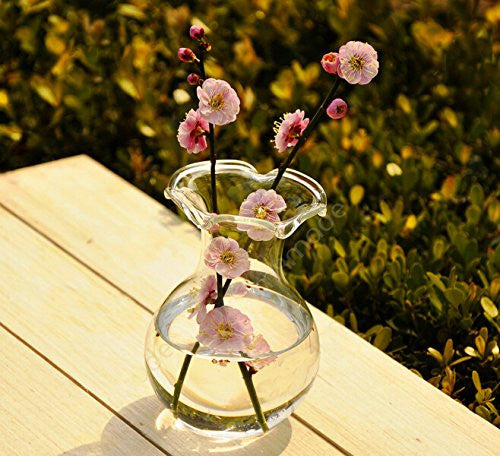 Hand-blown Clear Glass Scalloped Lipped Flower Vase for Home or Office