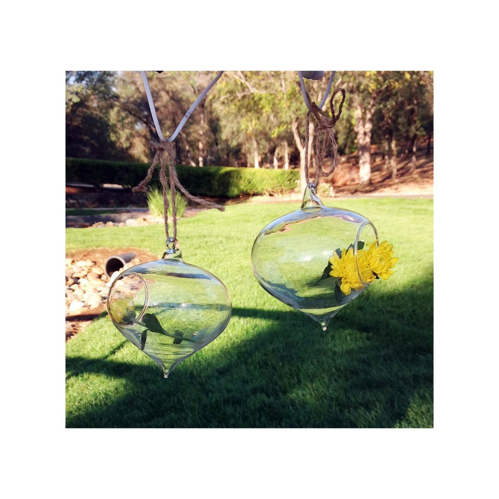 Set of 2 Turnip Shaped Glass Globes for Hydroculture or Fresh Cut Flowers