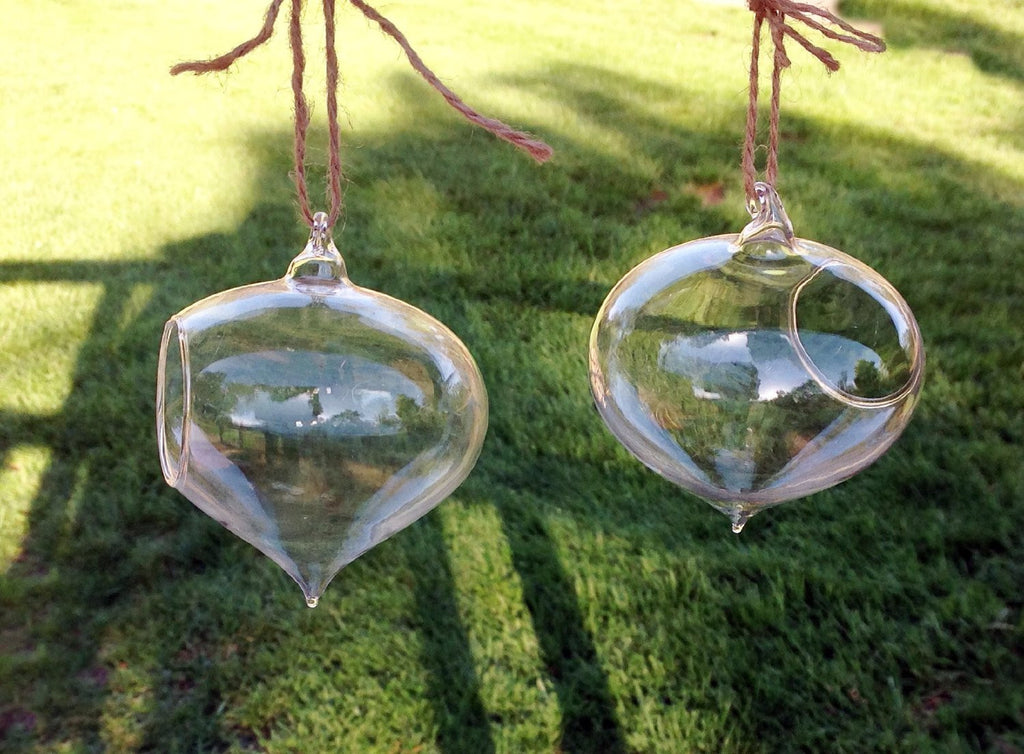 Set of 2 Turnip Shaped Glass Globes for Hydroculture or Fresh Cut Flowers