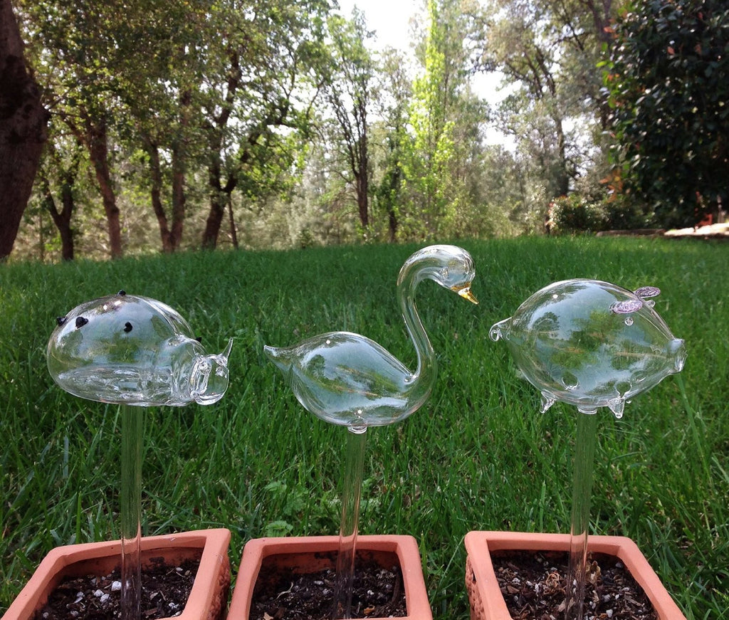small plant watering globes Set of 3 Small Hand Blown Glass Self Watering Globes Ladybug, Swan and Pig