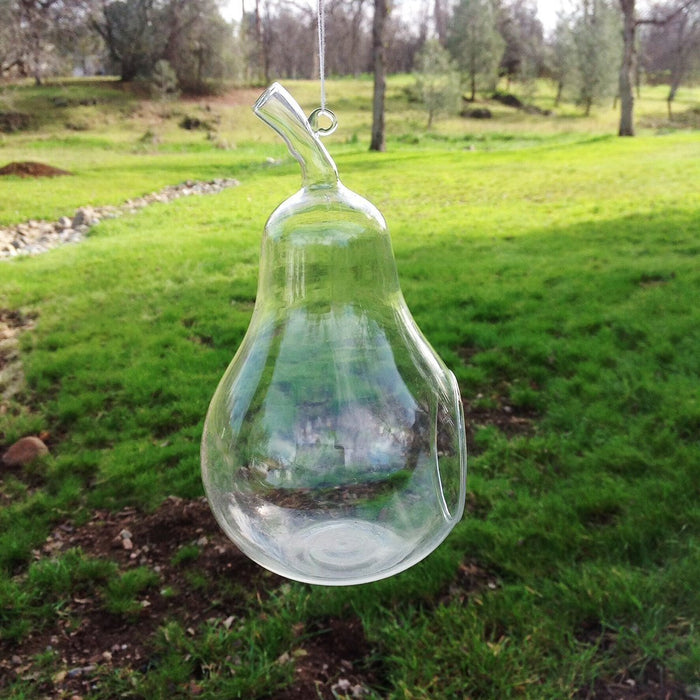 Pear Shaped Clear Glass Planter for Small Succulents,