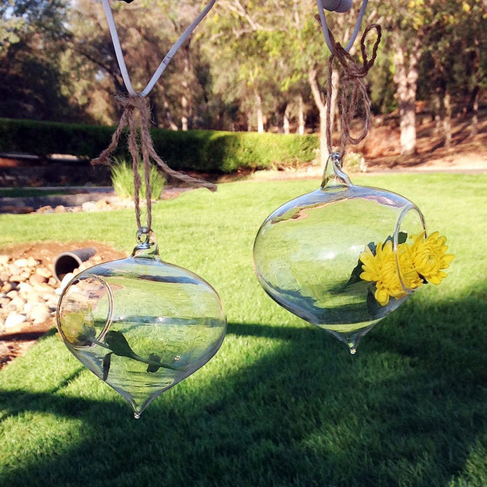 Set of 2 Turnip Shaped Glass Globes for Hydroculture or Fresh Cut Flowers