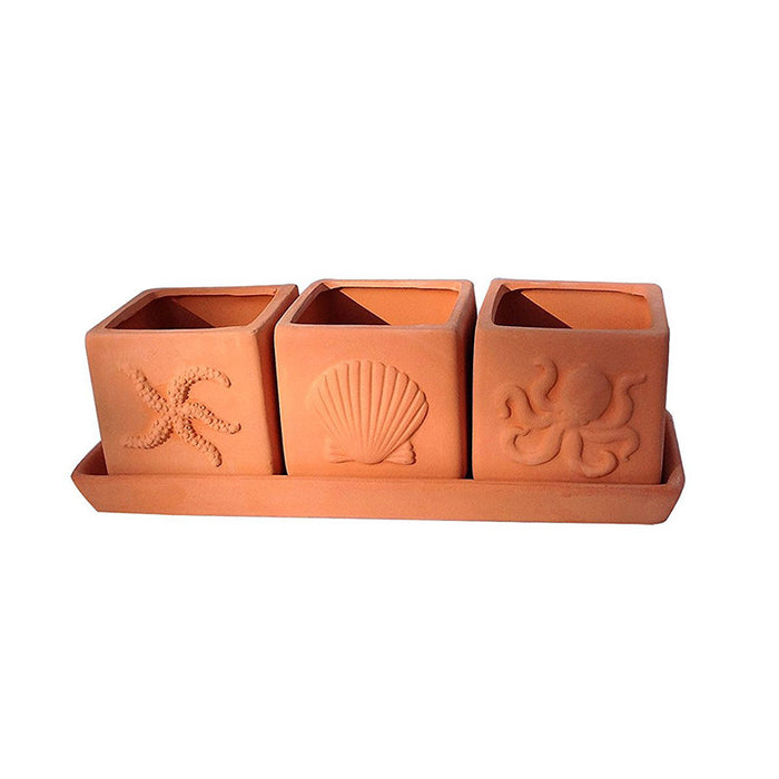 Terracotta Clay Set of 3 Small Square Seascape Embossed Herb Square Pots with Tray