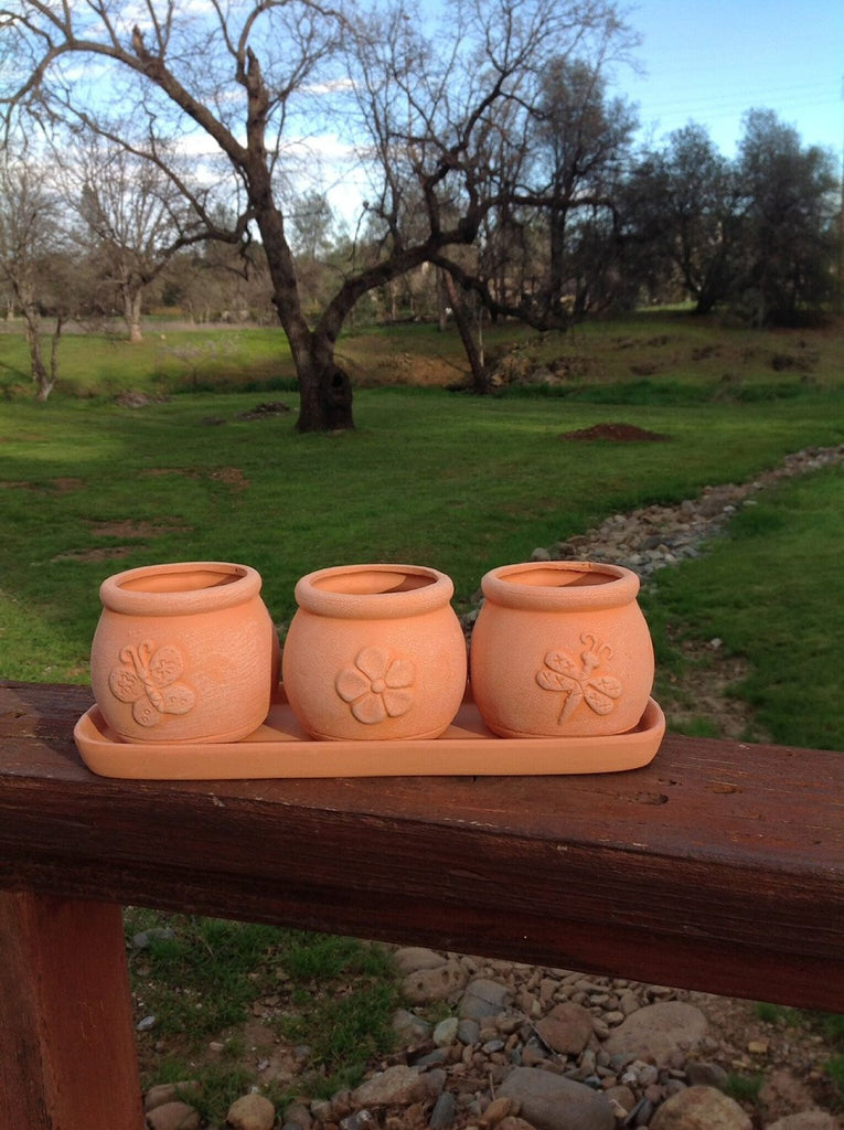 Terracotta Clay Set of 3 Small Round Embossed Earthenware Planters or Herb Pots and Tray