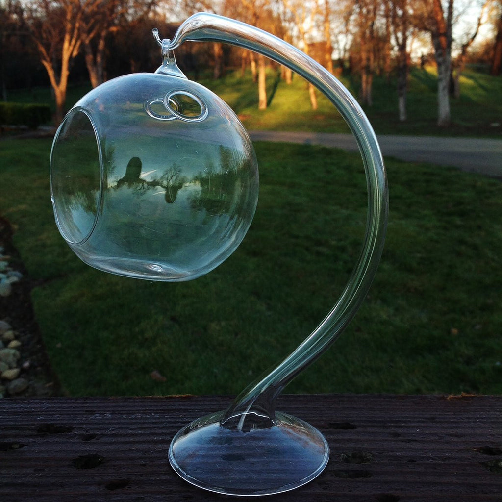 water globes for succulents Hanging Round Clear Glass Sphere for Small Succulents with Glass Stand – goodmanandwife