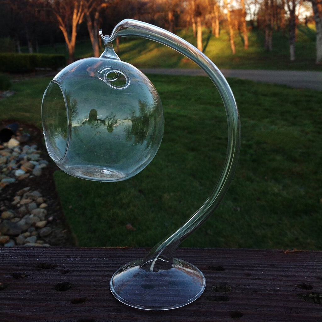 Hanging Round Clear Glass Sphere for Small Succulents with Glass Stand