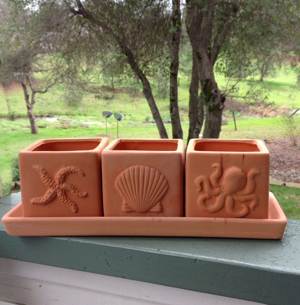 Terracotta Clay Set of 3 Small Square Seascape Embossed Herb Square Pots with Tray