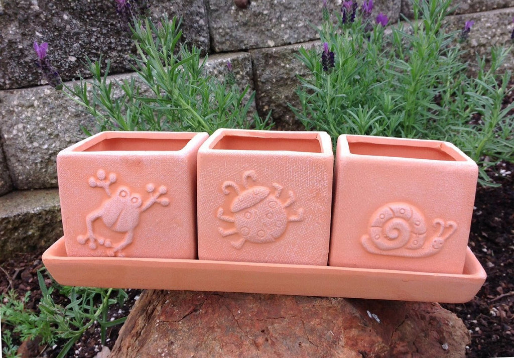 Terracotta Set of 3 Small Square Planters or Herb Square Pots with Tray