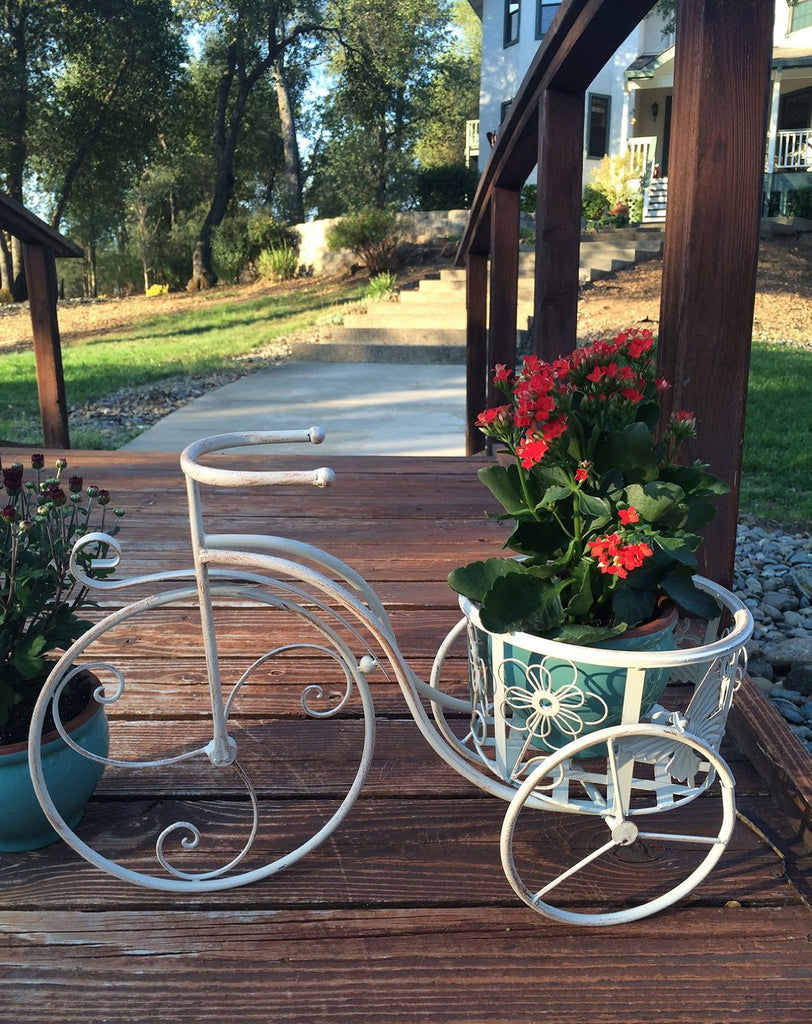 Antique White Iron Tricycle Plant Stand or Planter Holder