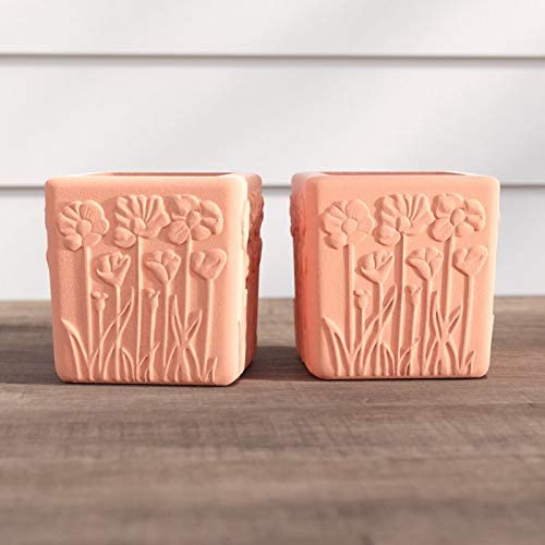 Set of 2 Natural Colored Terracotta Flower Encrusted Square Shaped Planters